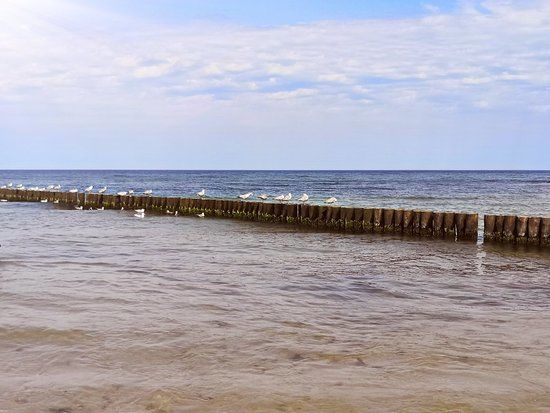 Spacery po plaży